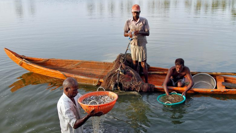 Analysis of Fishing Cooperatives as a Source of Financial Data for  Traditional Fishers (1/4)